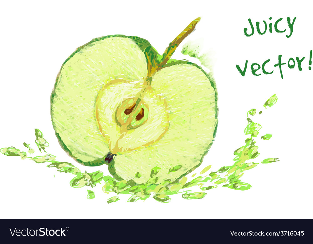 Drawing apple with a slice