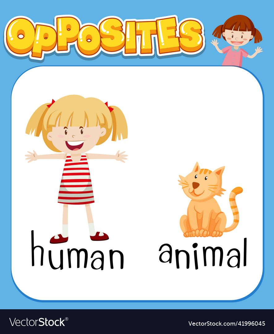 Opposite words for human and animal Royalty Free Vector