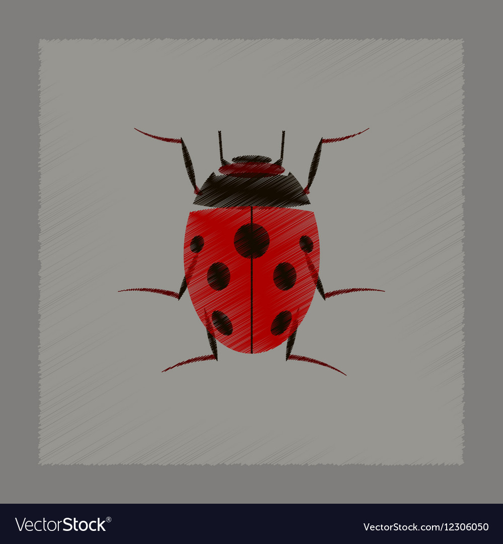 Flat shading style insect ladybug