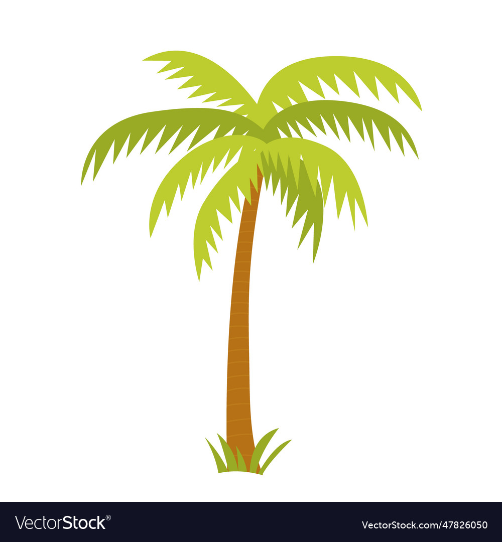 Flat style beach palm Royalty Free Vector Image