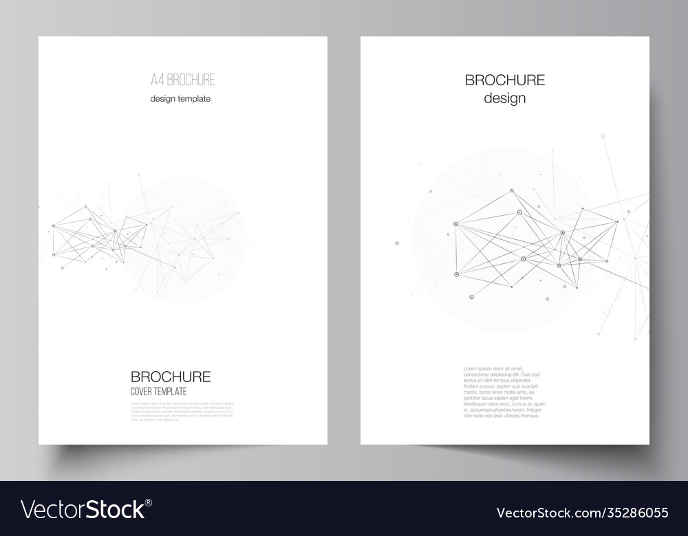 Layout A4 Cover Mockups Templates Royalty Free Vector Image