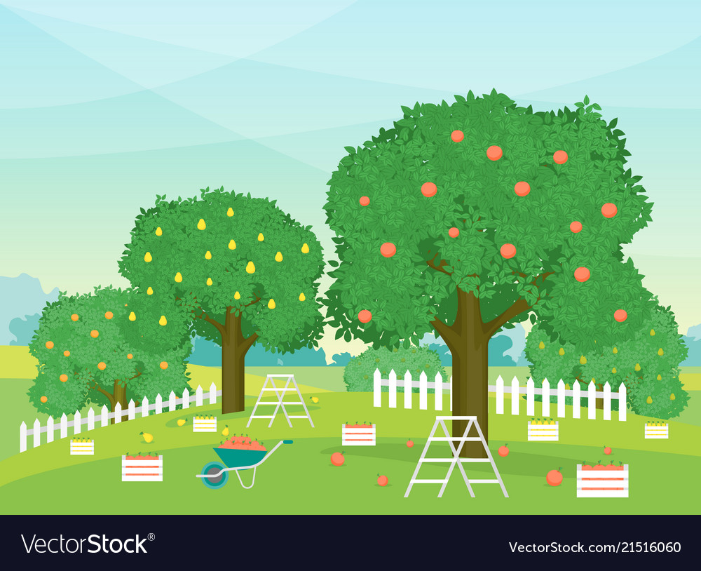 22+ Cartoon Garden Images - Kemprot Blog