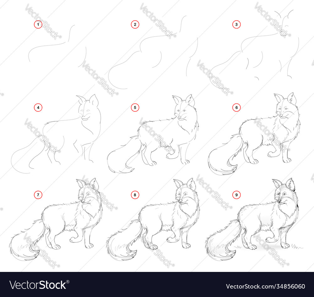 How to draw from nature step sketch vector image How to draw from nature step sketch