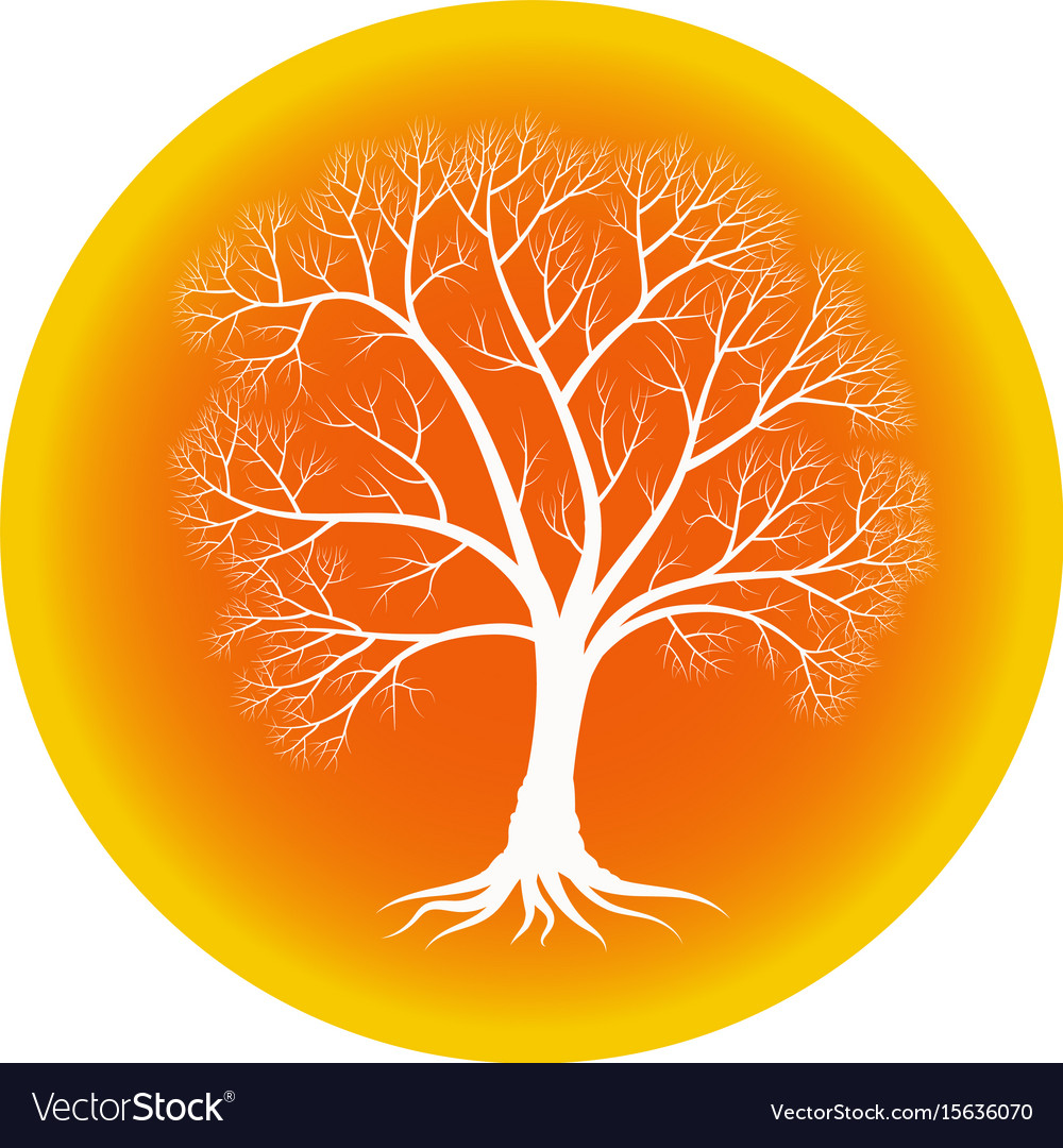 Abstract tree with bare branches on an orange