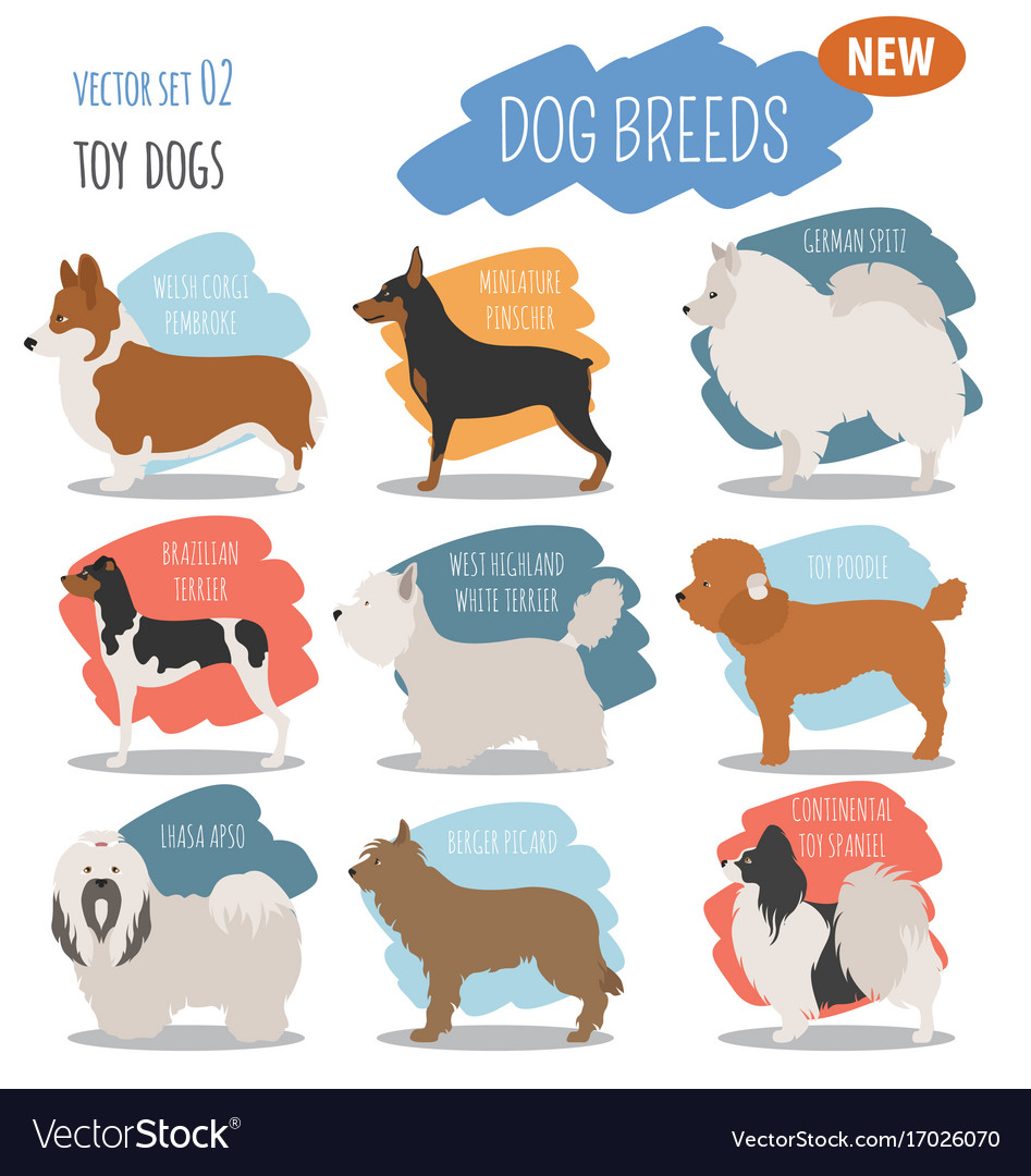 Miniature toy dog breeds set icon isolated Vector Image