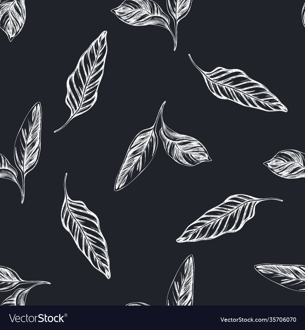 Seamless pattern with hand drawn chalk calathea