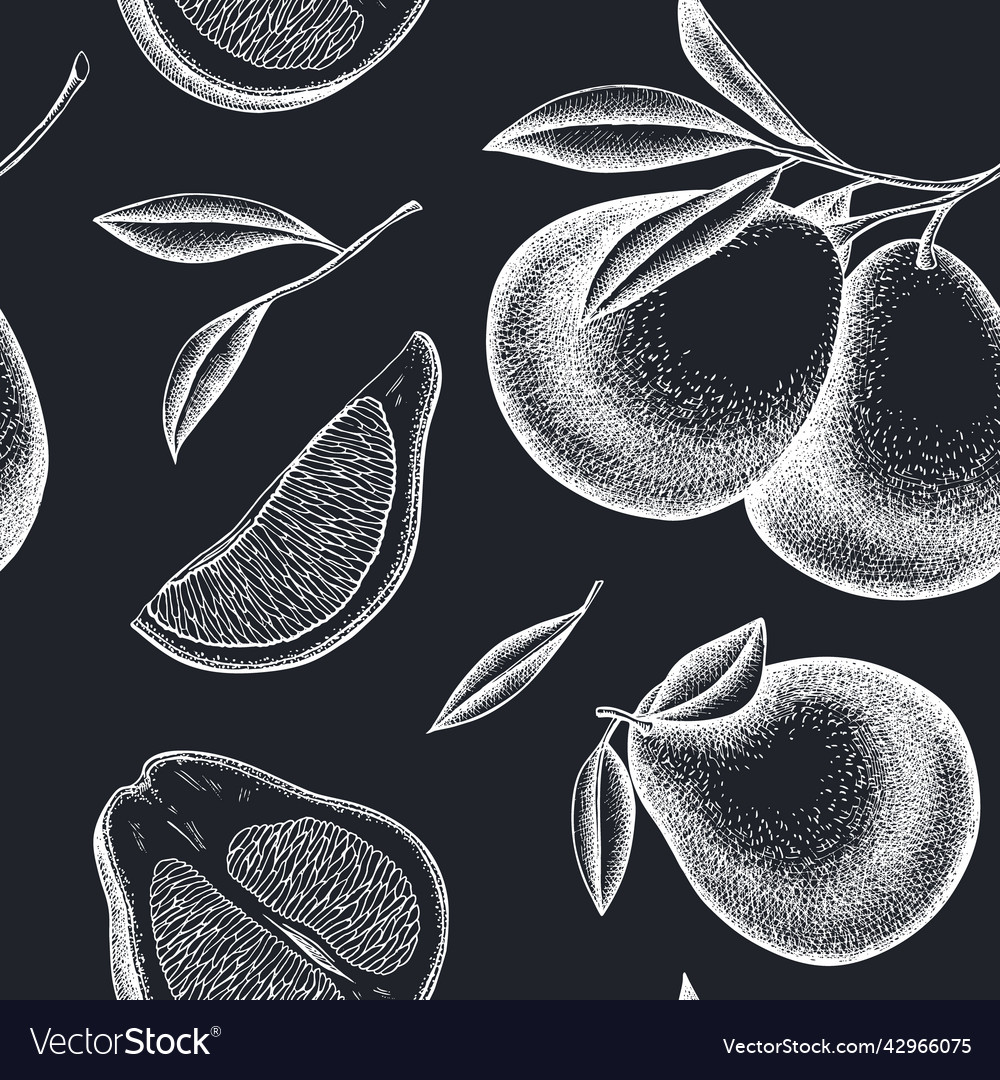 Citrus seamless pattern background design vector image Citrus seamless pattern background design