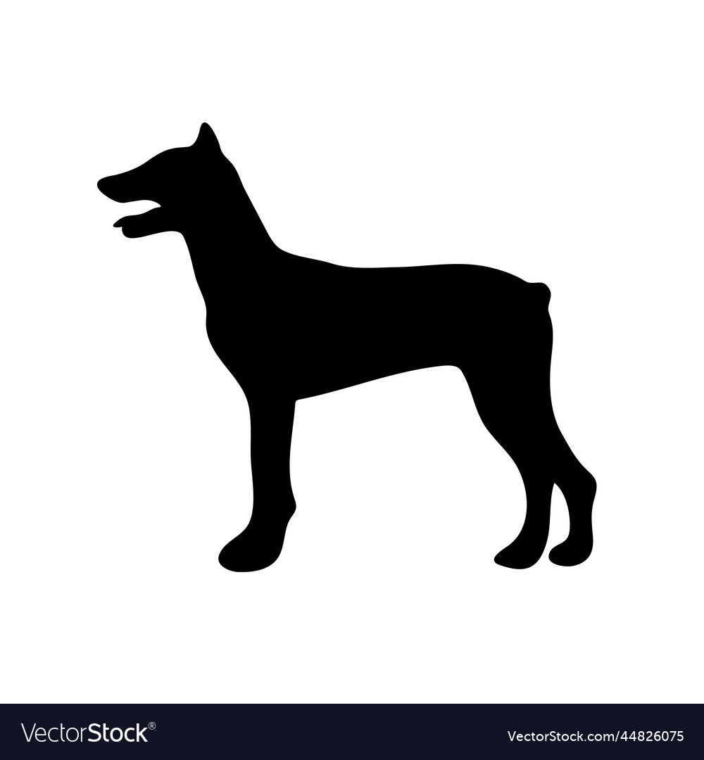 Doberman pinscher black silhouette of a dog Vector Image