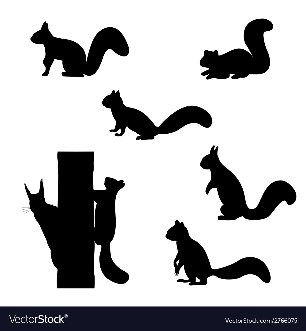 Set Silhouettes Squirrels Royalty Free Vector Image