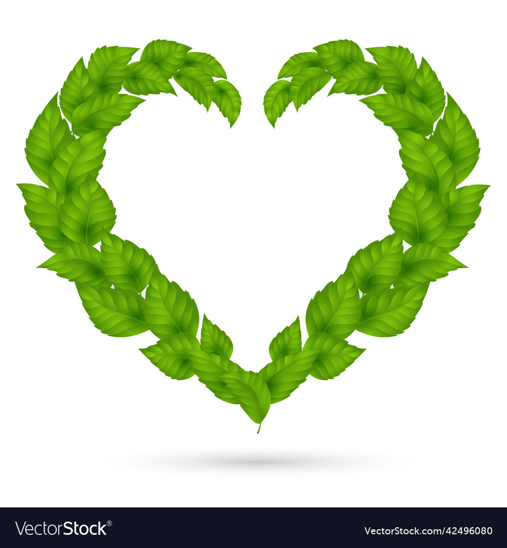 A wreath of leavesheart green leavesconcept