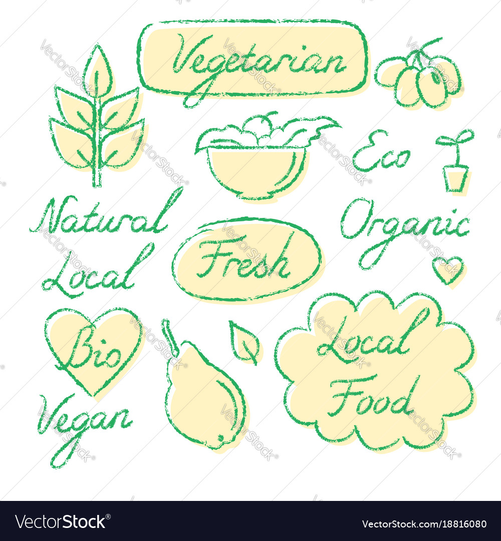 Set von Öko-Food-Beschriftung und Symbole in Skizze