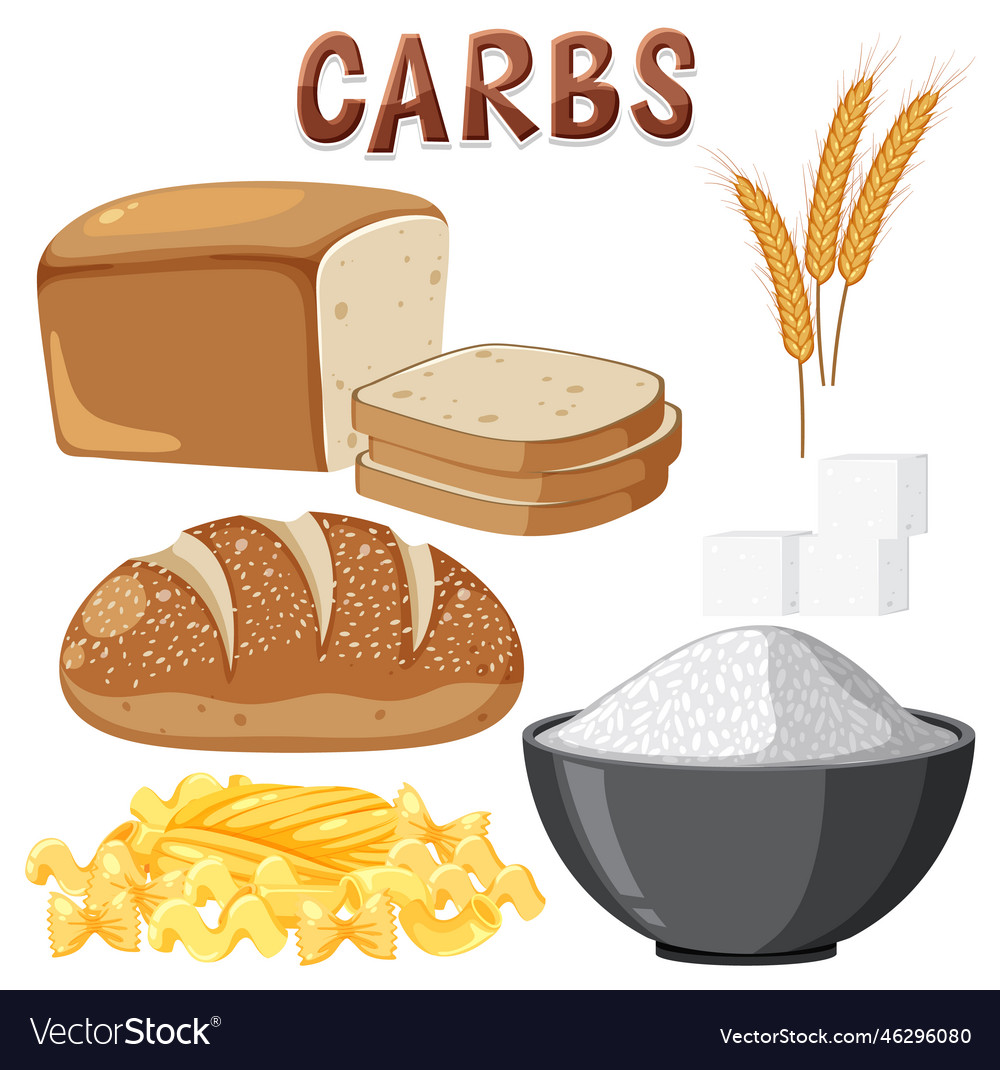 Variety Of Carbohydrates Foods Royalty Free Vector Image