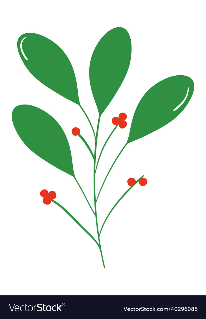 Berries and leaves branch Royalty Free Vector Image