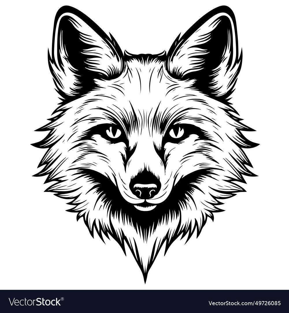 Fox graphic sketch black and white hand-drawn