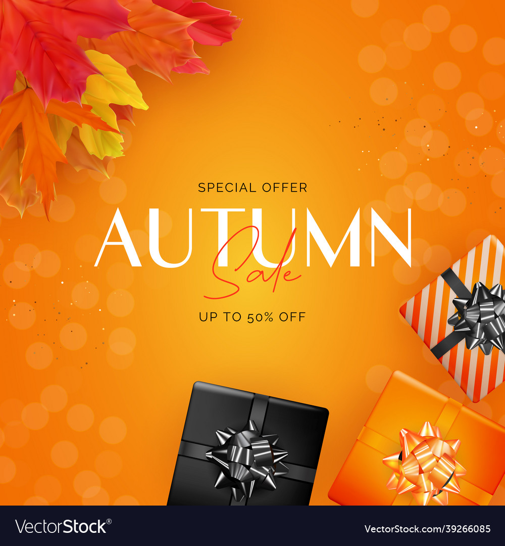 Shiny autumn leaves sale banner business discount vector image Shiny autumn leaves sale banner business discount