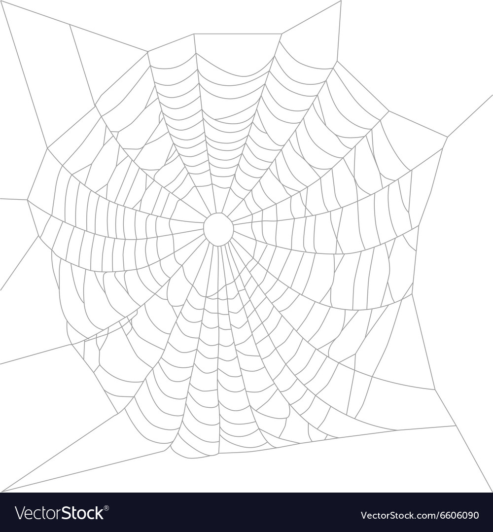Spider web or net