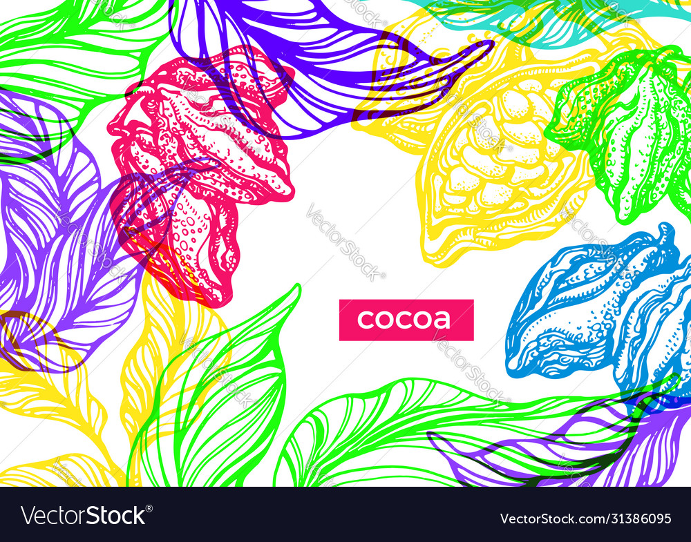 Cocoa exotic 1