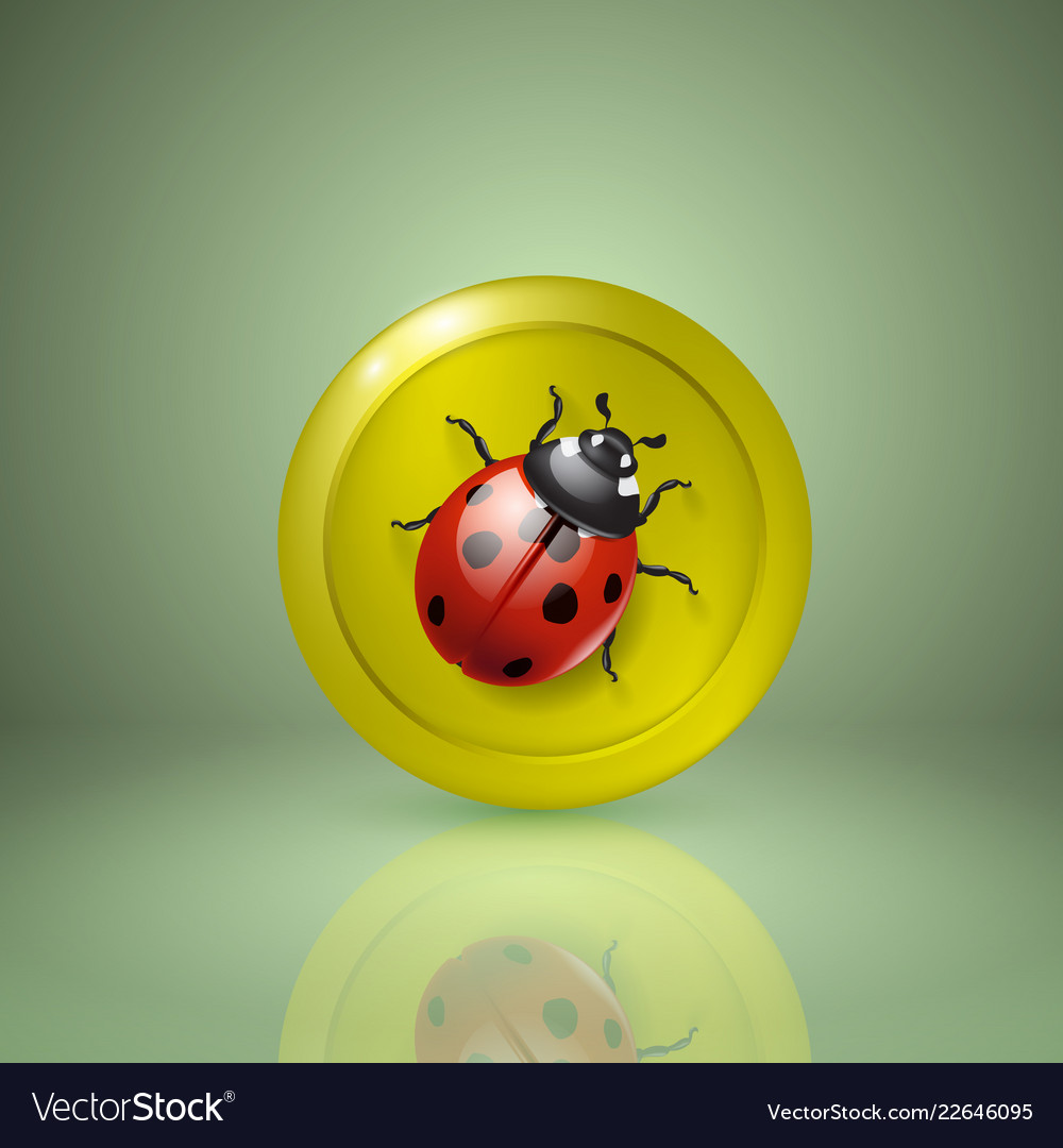 Ladybird yellow style icon for app or web design vector image Ladybird yellow style icon for app or web design