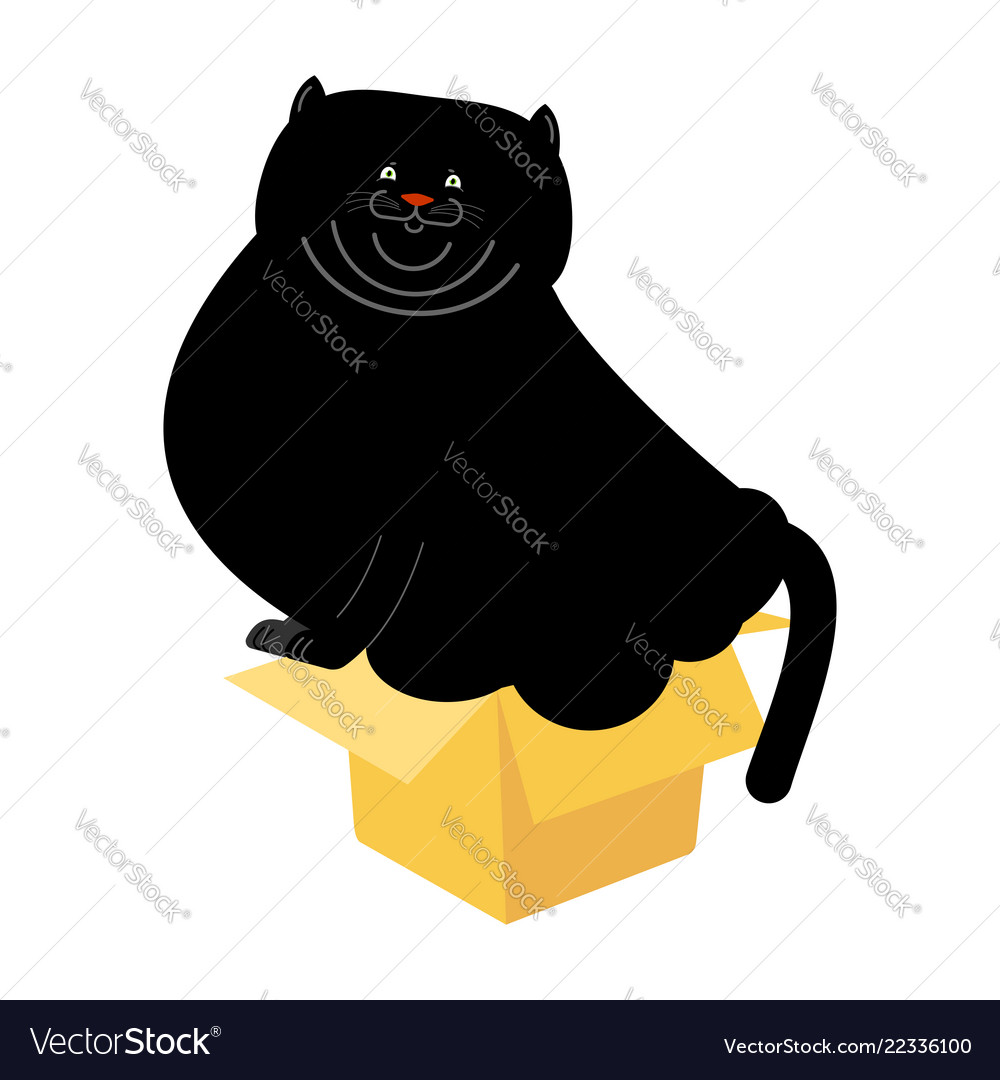 Fat cat best sale in box