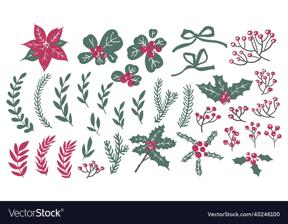 Mistletoe And Pine Tree Branches Xmas Decoration Vector Image