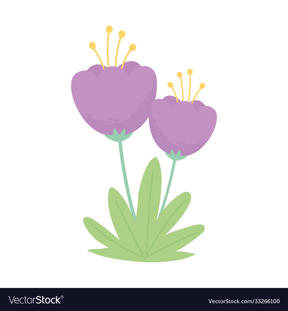 Purple flowers stem grass nature isolated white Vector Image