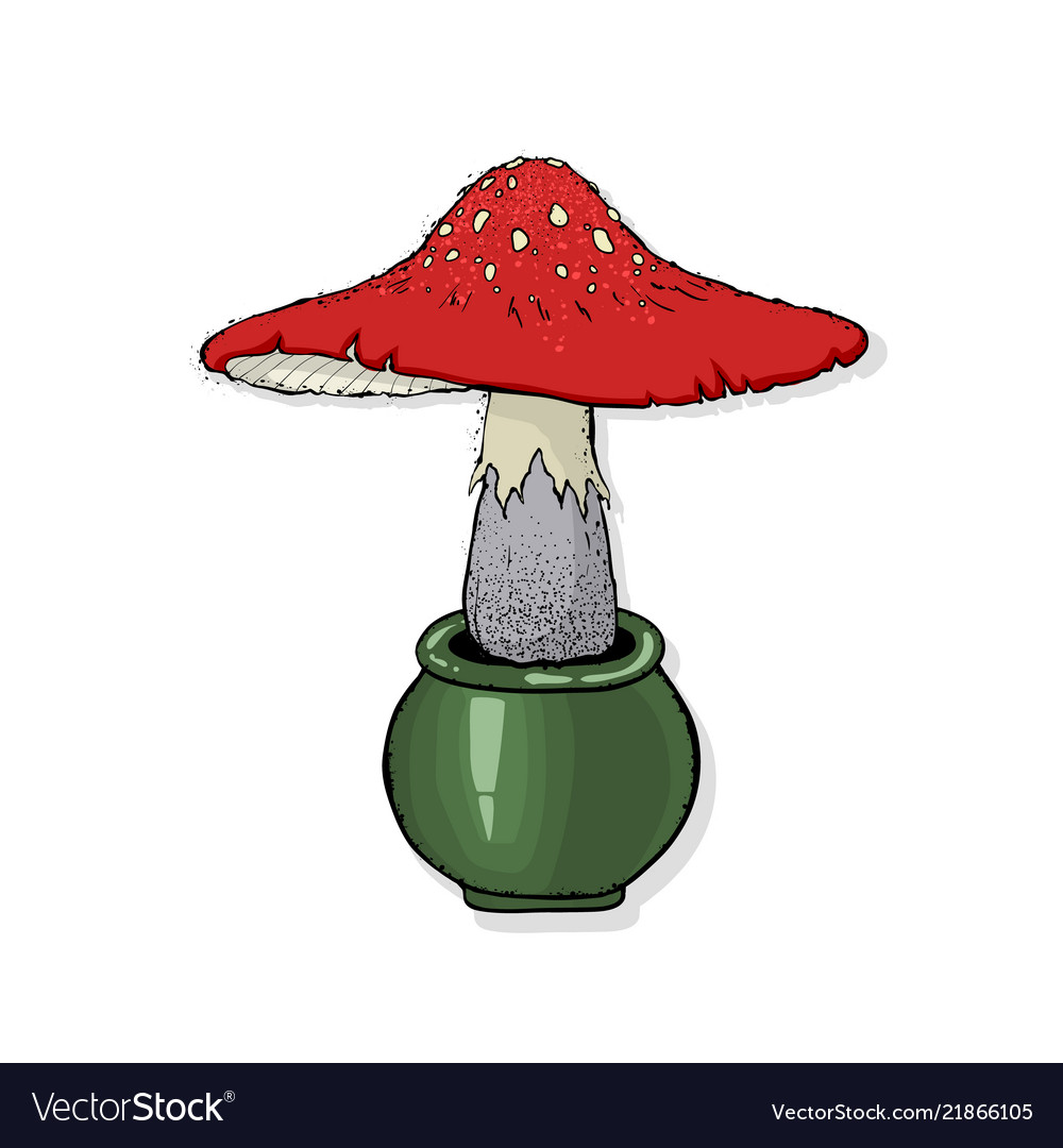 A fly-agaric poisonous forest mushrooms happy