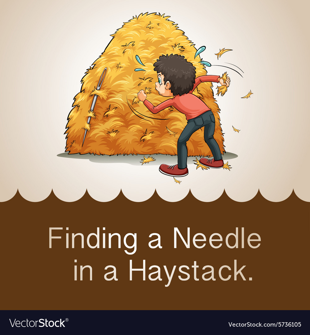 Searching for a Needle in Haystack