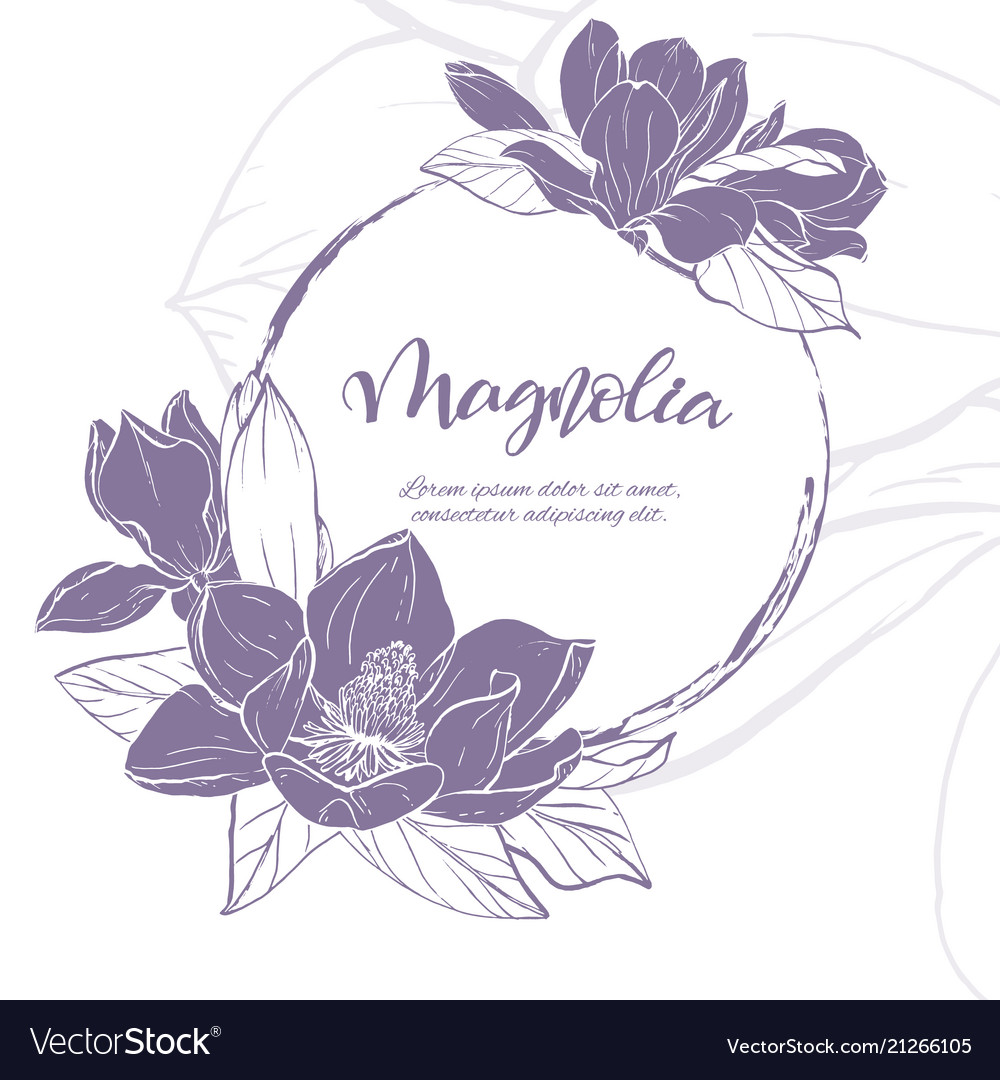 Sketch linear magnolia blossom Royalty Free Vector Image