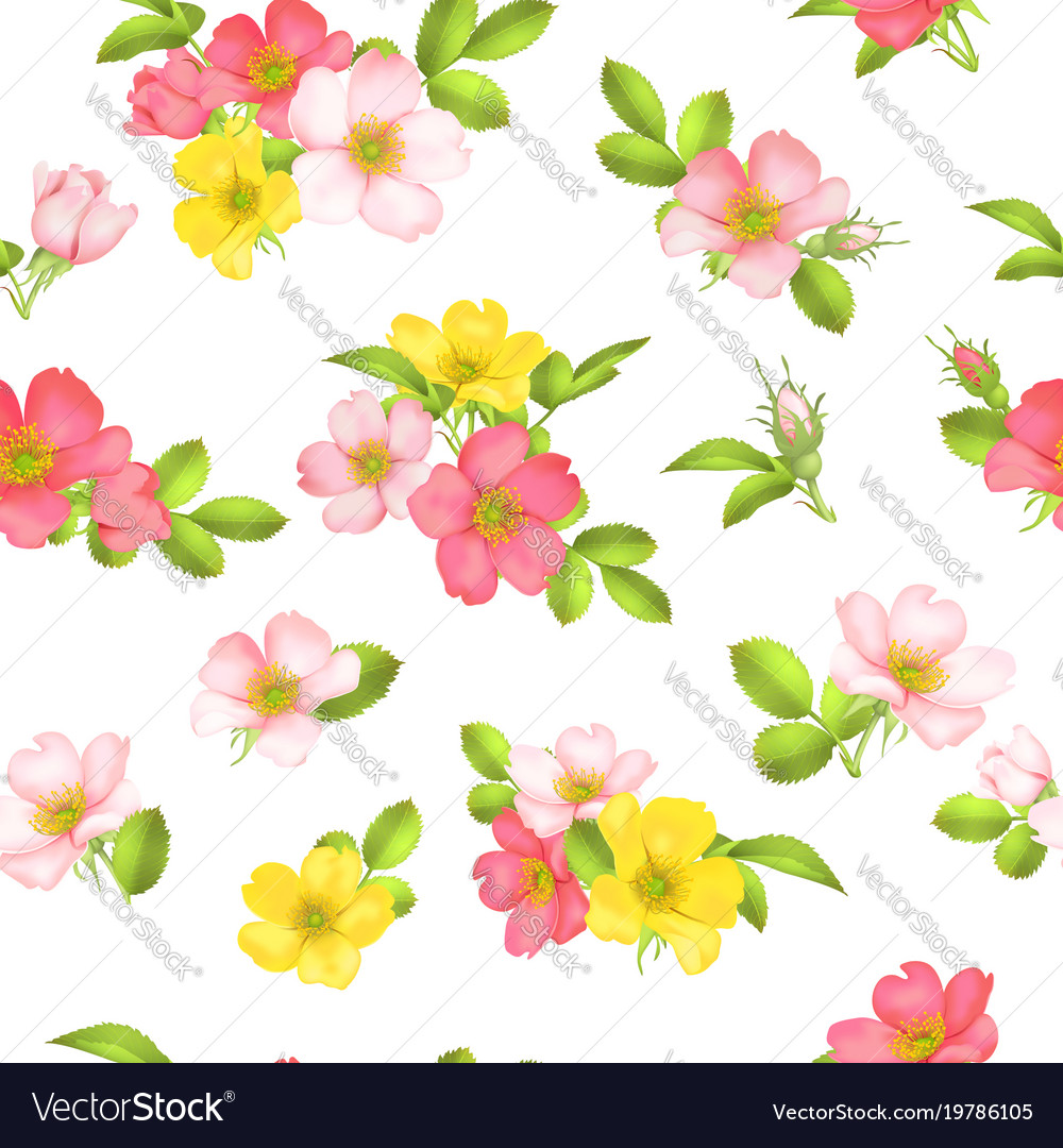 Wild Rose Blooms Seamless Pattern