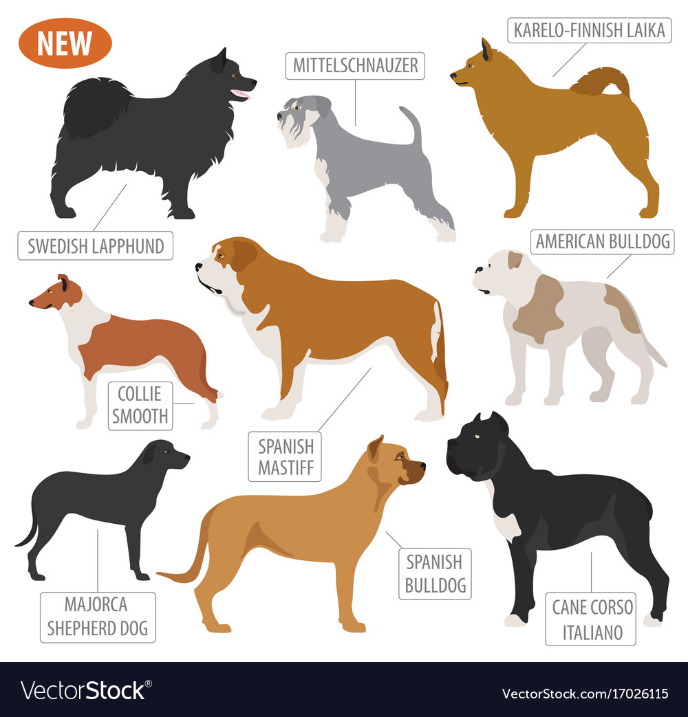 Working watching dog breeds set icon isolated Vector Image