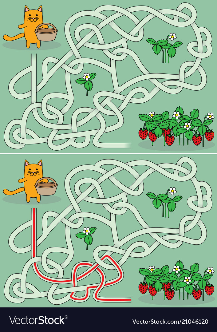 Little cat maze