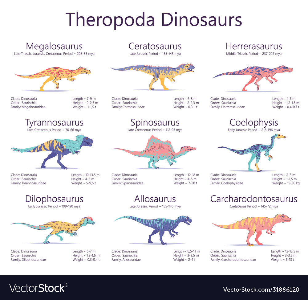 Theropoda Dinosaurs Colorful Royalty Free Vector Image 1796