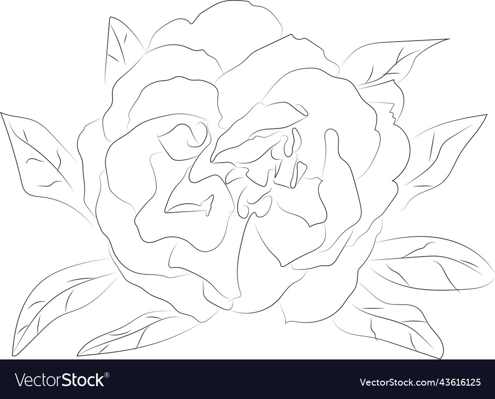 A simple black and white line pattern