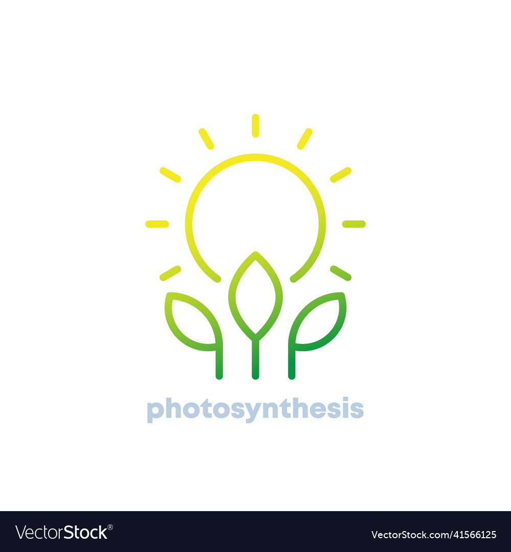 Photosynthesis line icon with sun and plant