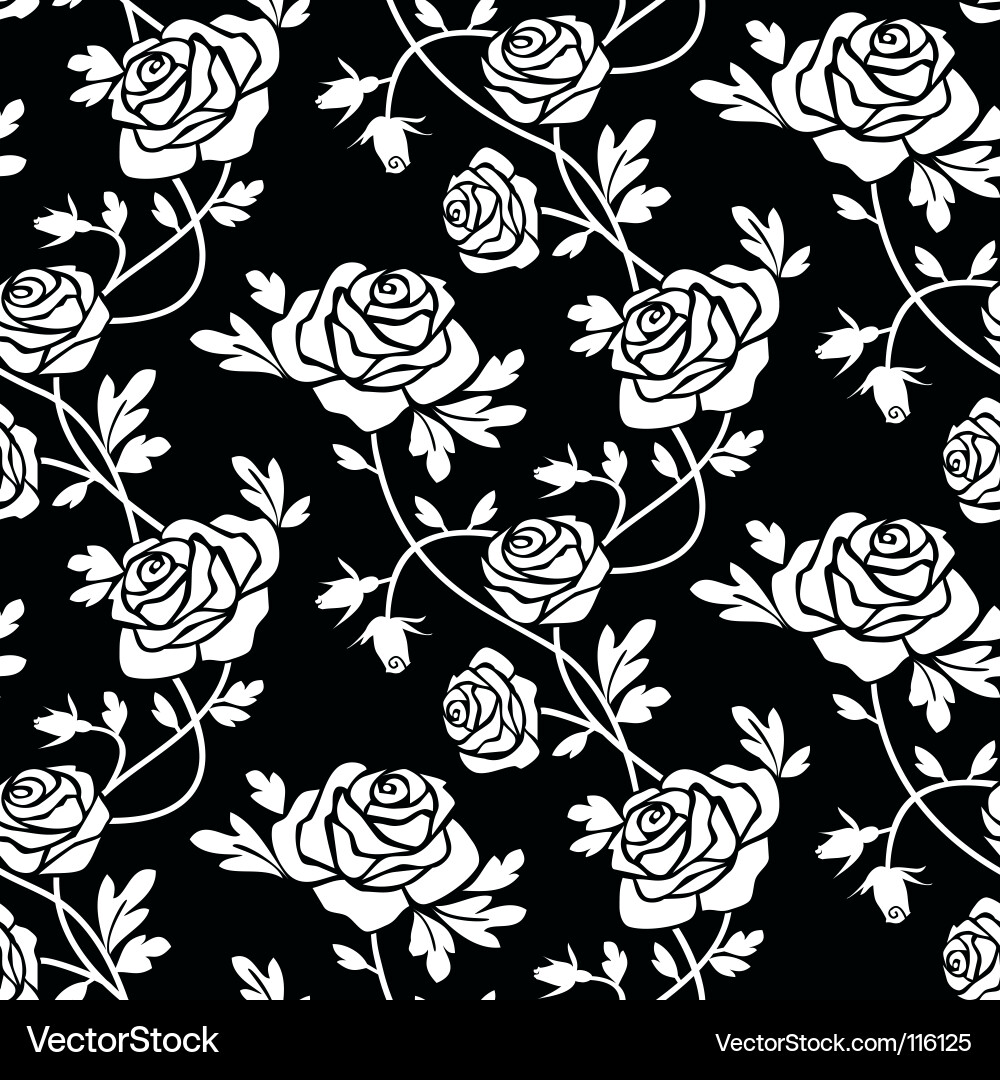 Roses Royalty Free Vector Image - VectorStock