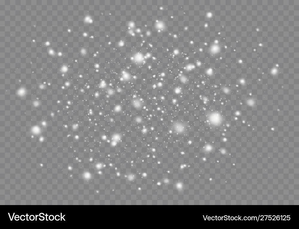 Snowfall with various shapes snowflakes on Vector Image