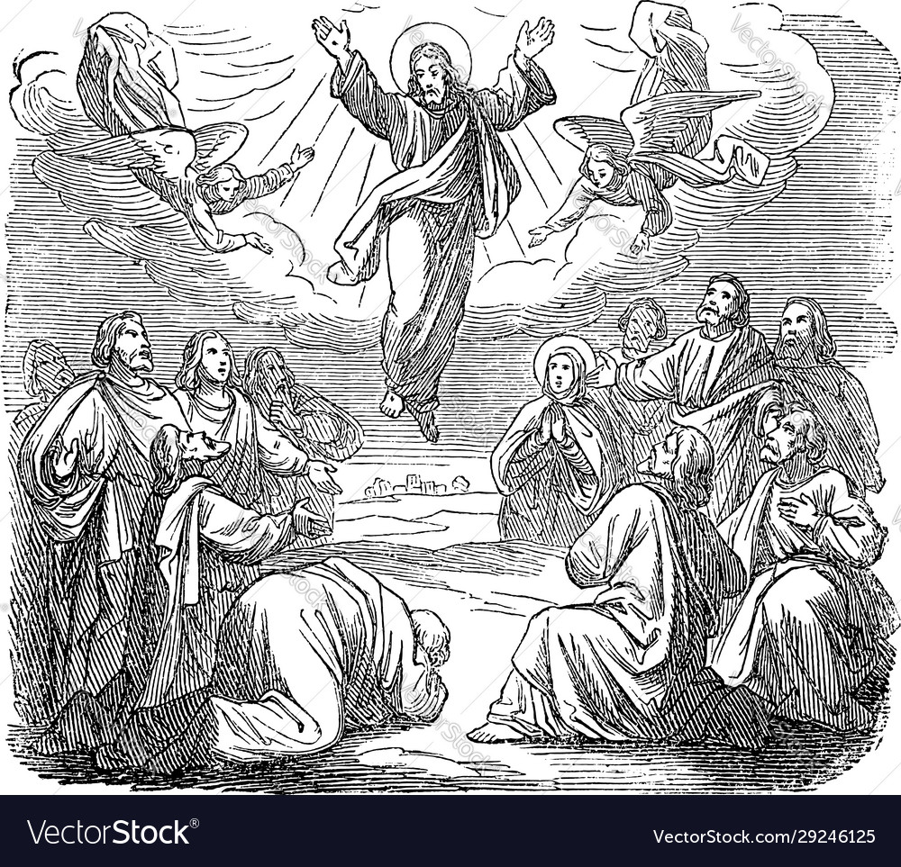 Vintage antique religious biblical drawing Vector Image