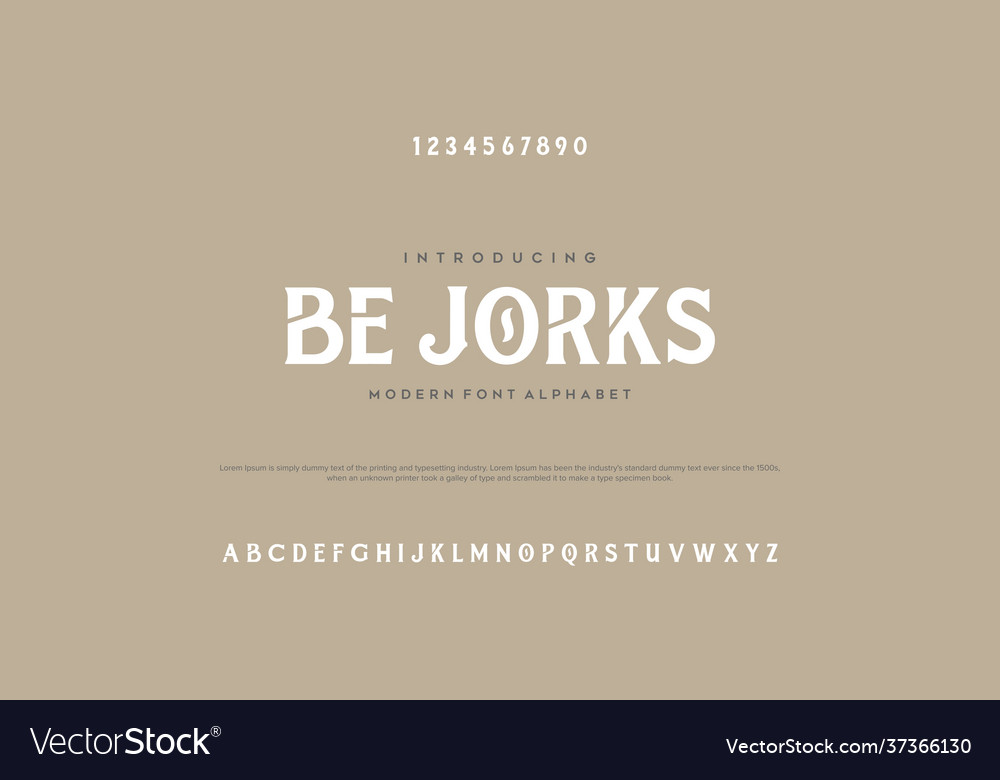 Elegant alphabet letters font with number classic vector image Elegant alphabet letters font with number classic