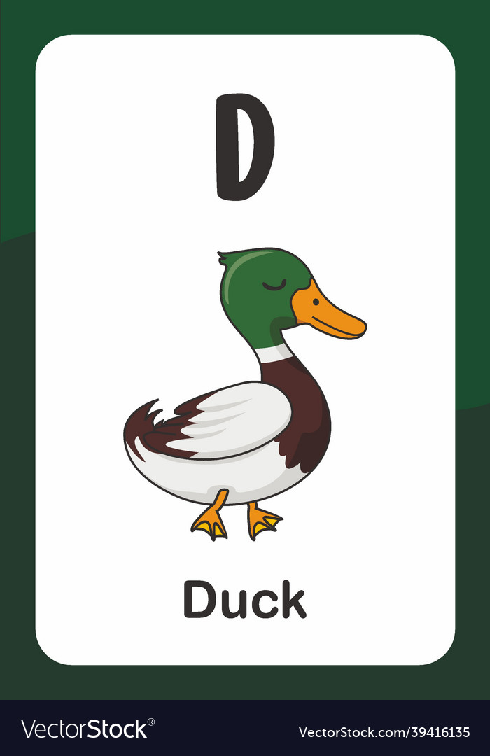 animal-alphabet-flash-card-d-for-duck-royalty-free-vector