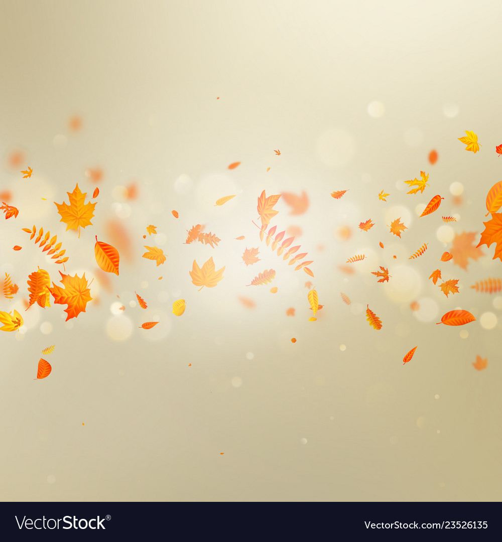 Gold autumn bokeh background with maple vector image Gold autumn bokeh background with maple
