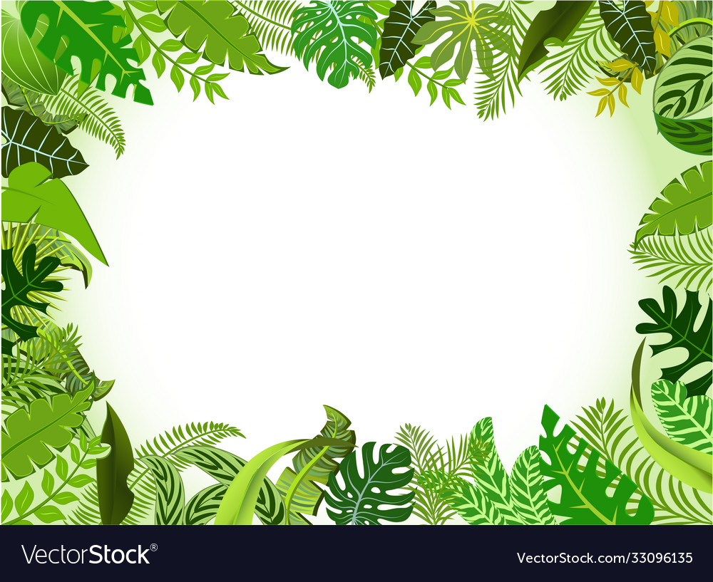 Landscape background jungle with ornaments Vector Image