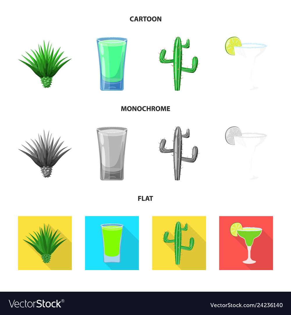 Isolated object of cafe and latin symbol set vector image Isolated object of cafe and latin symbol set