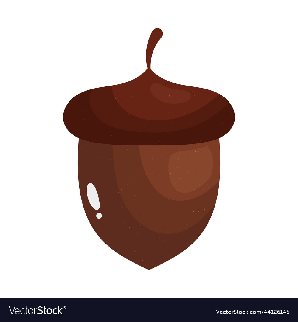 Acorn icon image