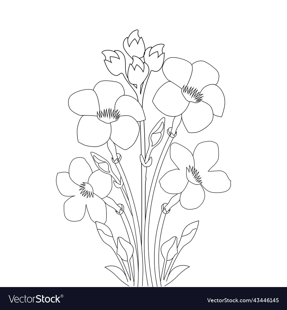 Allamanda flower with creative line art design Vector Image