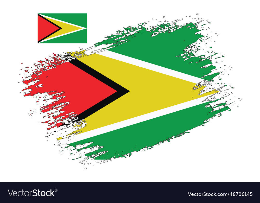 Brush design guyana flag Royalty Free Vector Image