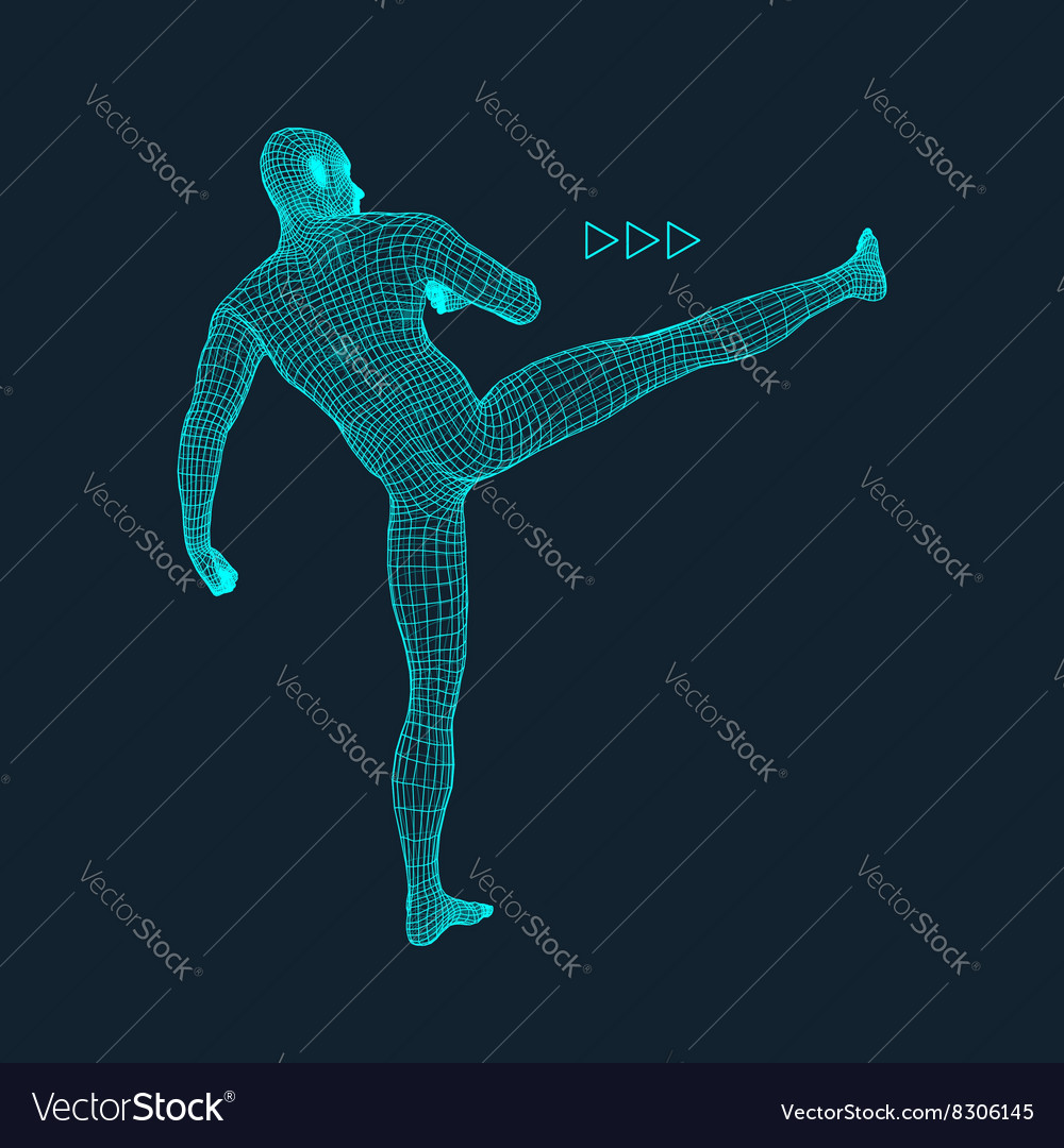 Fighting man 3d model of polygonal design