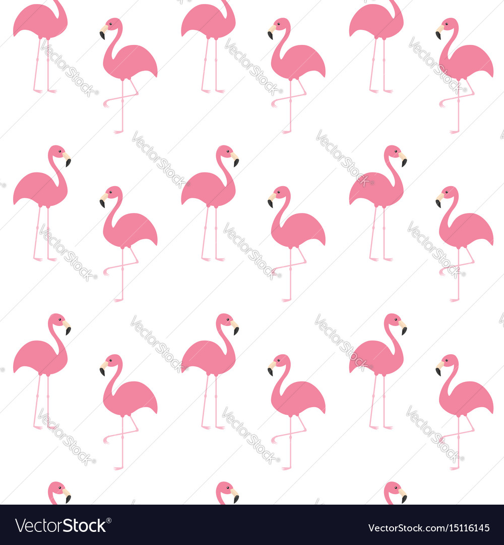 Flamingo Pattern Seamless
