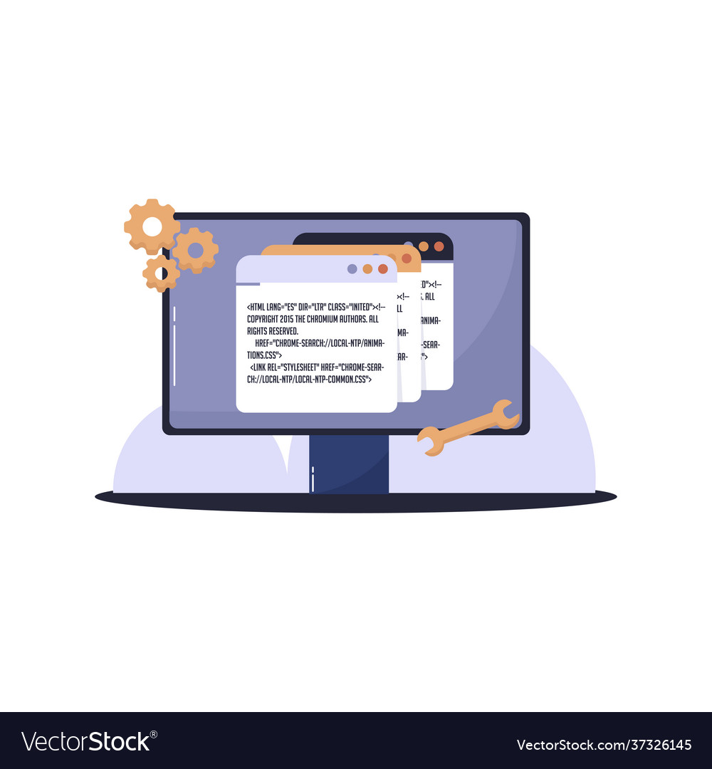 Isolated pc screen programming vector image Isolated pc screen programming