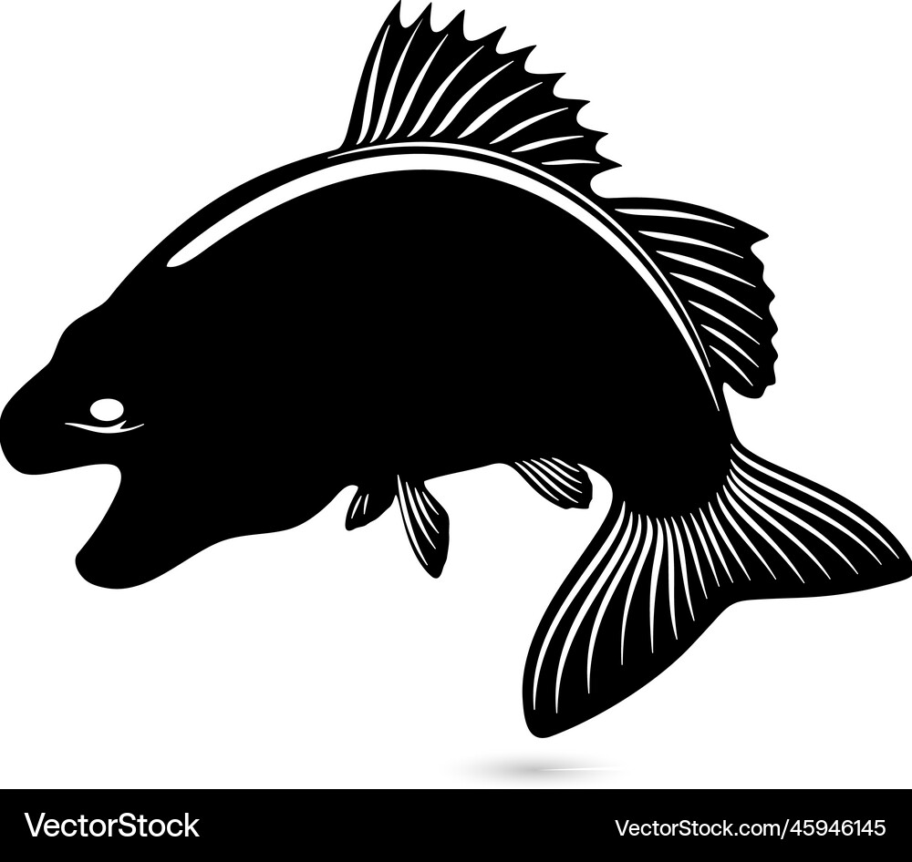 Salmon fish isolated silhouettes Royalty Free Vector Image
