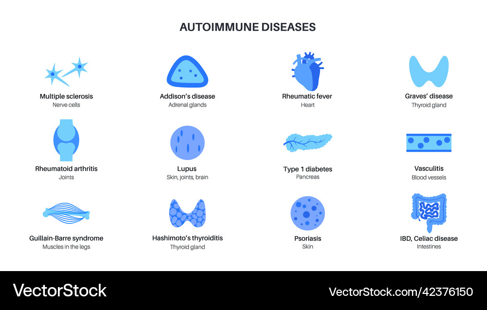 Autoimmune disorders diseases Royalty Free Vector Image